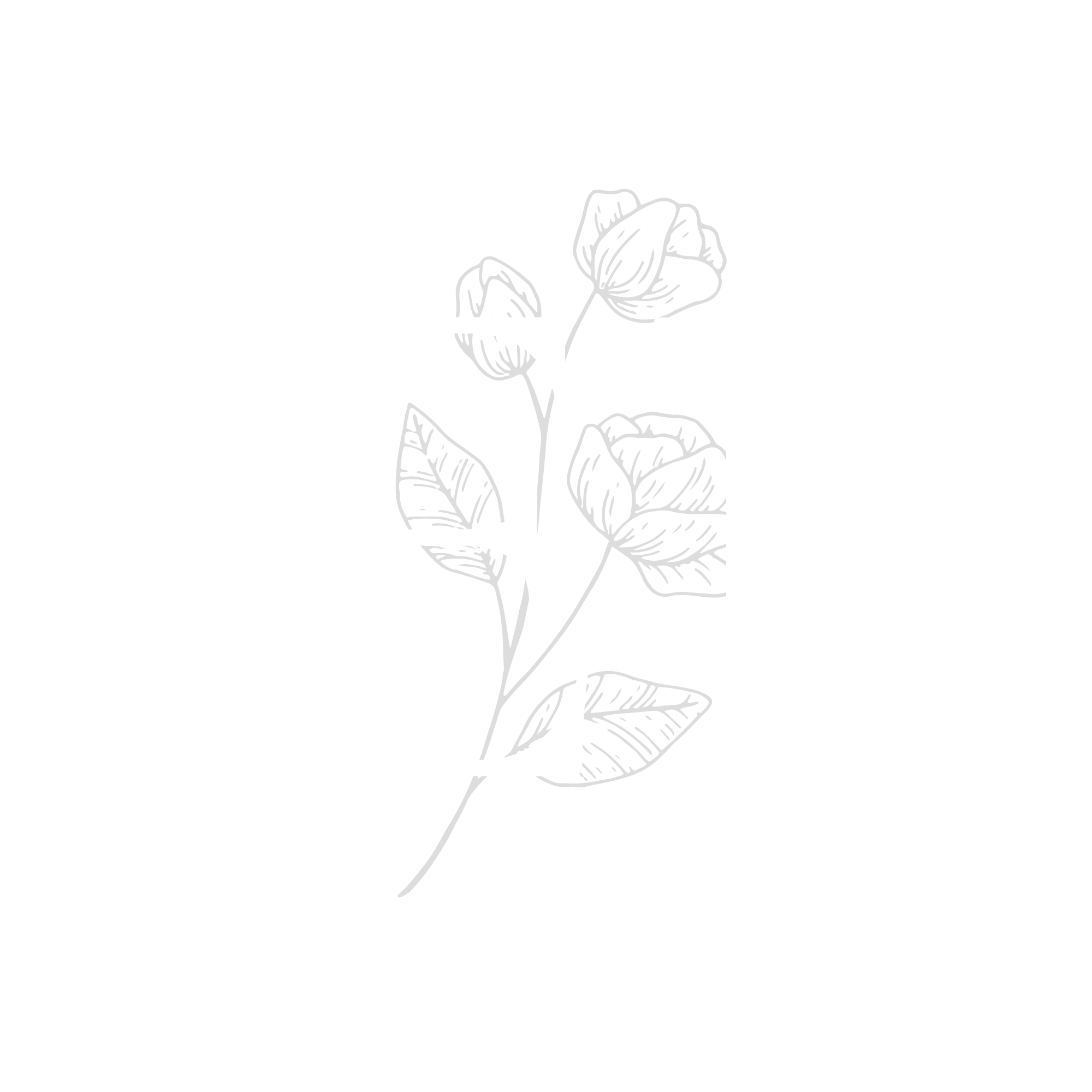 Wedding monogram